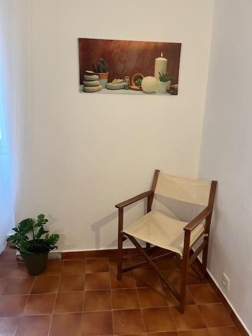 T3 Au Coeur De La Vieille Ville De Porto-Vecchio 외부 사진
